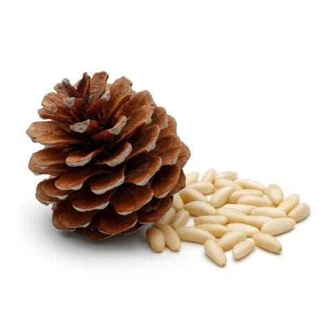 Chillas Golden Treasure: Handpicked Organic Pine Nuts for Pure, Natural Flavor